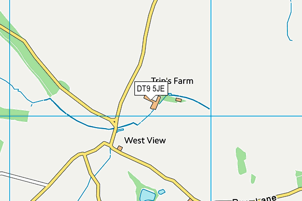 DT9 5JE map - OS VectorMap District (Ordnance Survey)