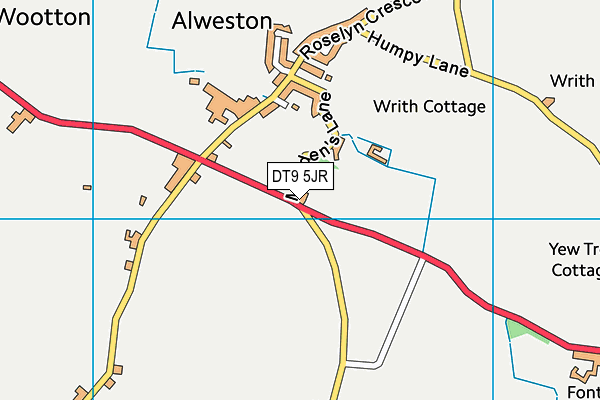 DT9 5JR map - OS VectorMap District (Ordnance Survey)