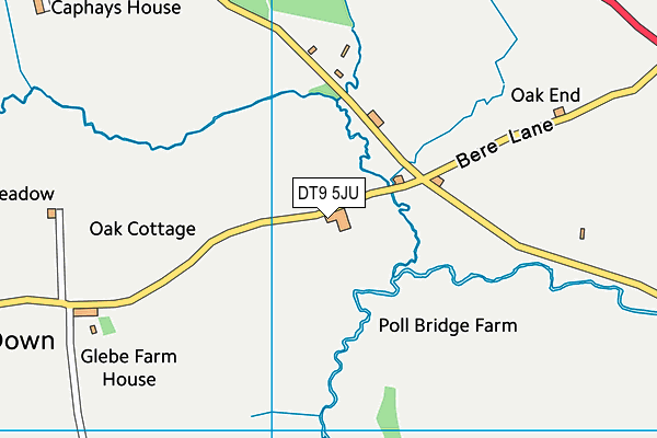 DT9 5JU map - OS VectorMap District (Ordnance Survey)