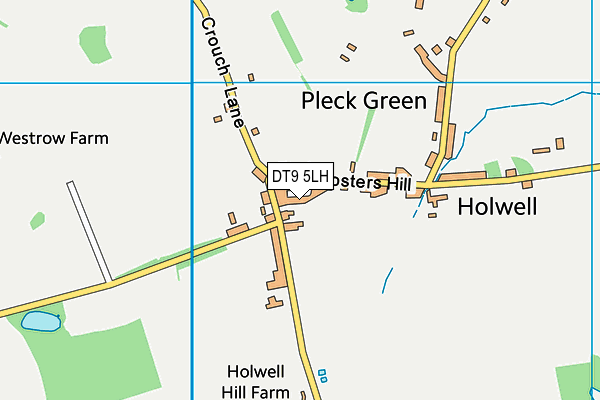 DT9 5LH map - OS VectorMap District (Ordnance Survey)