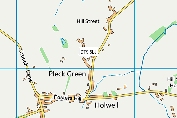 DT9 5LJ map - OS VectorMap District (Ordnance Survey)