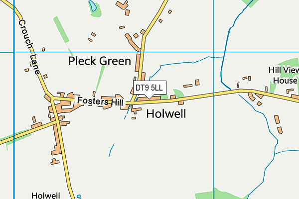 DT9 5LL map - OS VectorMap District (Ordnance Survey)