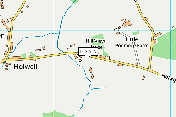 DT9 5LN map - OS VectorMap District (Ordnance Survey)