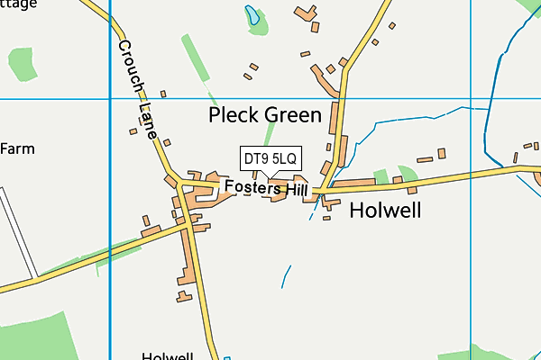 DT9 5LQ map - OS VectorMap District (Ordnance Survey)