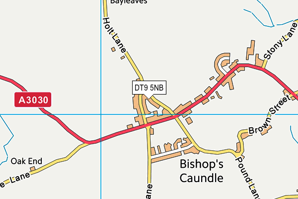 Bishops Caundle Village Hall map (DT9 5NB) - OS VectorMap District (Ordnance Survey)