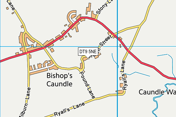 DT9 5NE map - OS VectorMap District (Ordnance Survey)