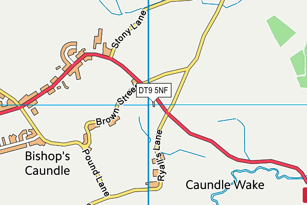 DT9 5NF map - OS VectorMap District (Ordnance Survey)