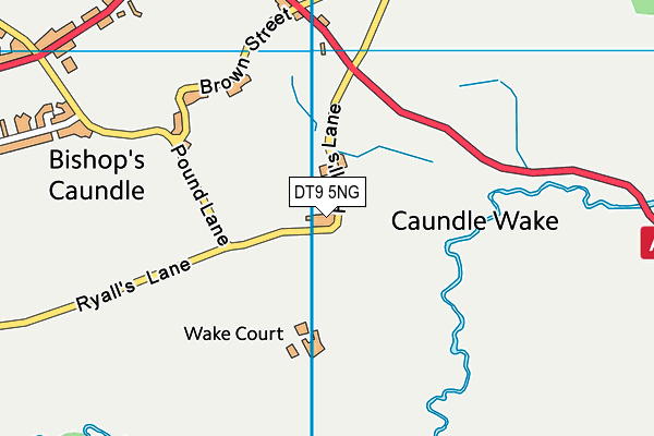 DT9 5NG map - OS VectorMap District (Ordnance Survey)