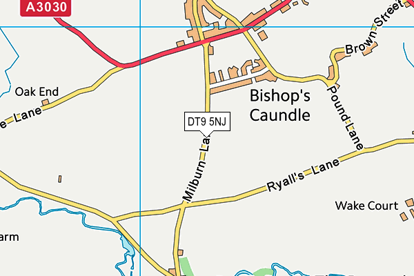 Bishop's Caundle Playing Field map (DT9 5NJ) - OS VectorMap District (Ordnance Survey)