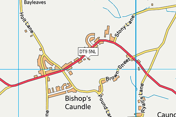 DT9 5NL map - OS VectorMap District (Ordnance Survey)