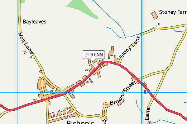 DT9 5NN map - OS VectorMap District (Ordnance Survey)