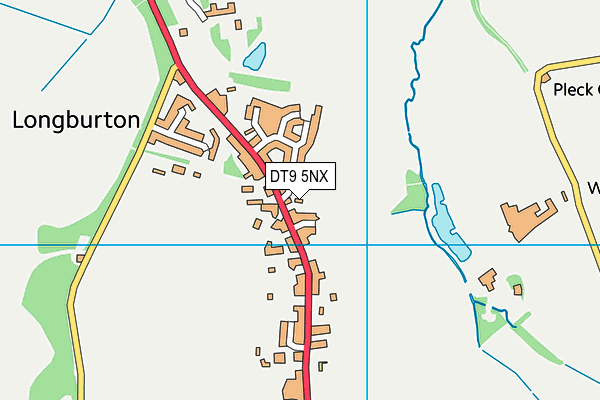 DT9 5NX map - OS VectorMap District (Ordnance Survey)