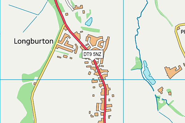 DT9 5NZ map - OS VectorMap District (Ordnance Survey)