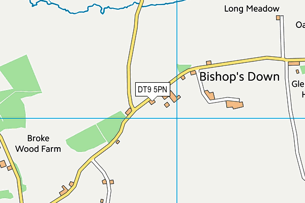 DT9 5PN map - OS VectorMap District (Ordnance Survey)