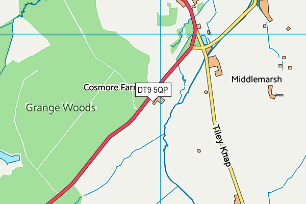 DT9 5QP map - OS VectorMap District (Ordnance Survey)