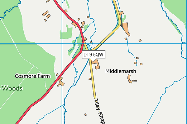 DT9 5QW map - OS VectorMap District (Ordnance Survey)