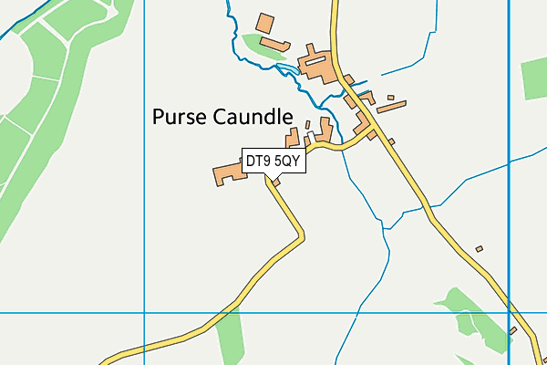 DT9 5QY map - OS VectorMap District (Ordnance Survey)