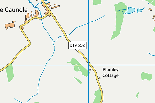 DT9 5QZ map - OS VectorMap District (Ordnance Survey)