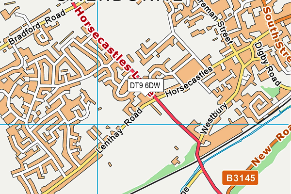DT9 6DW map - OS VectorMap District (Ordnance Survey)