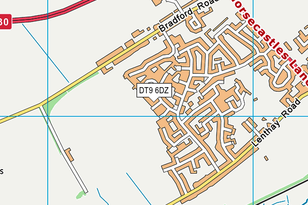 DT9 6DZ map - OS VectorMap District (Ordnance Survey)