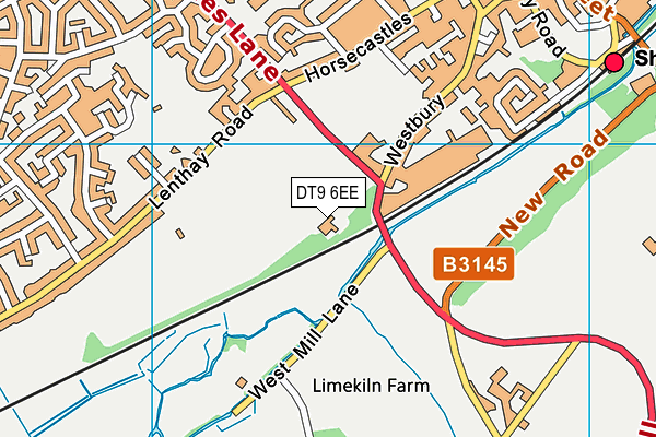 DT9 6EE map - OS VectorMap District (Ordnance Survey)