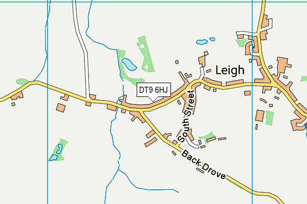 DT9 6HJ map - OS VectorMap District (Ordnance Survey)