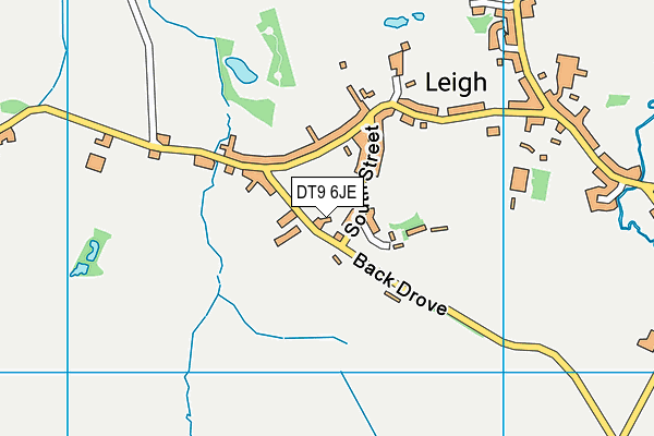 DT9 6JE map - OS VectorMap District (Ordnance Survey)