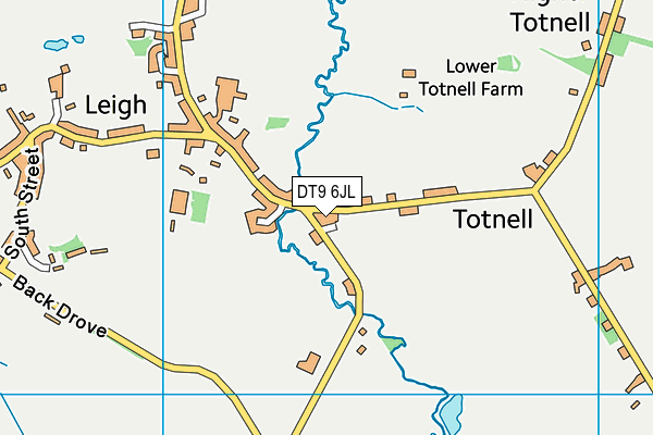DT9 6JL map - OS VectorMap District (Ordnance Survey)