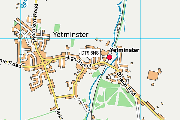 DT9 6NS map - OS VectorMap District (Ordnance Survey)