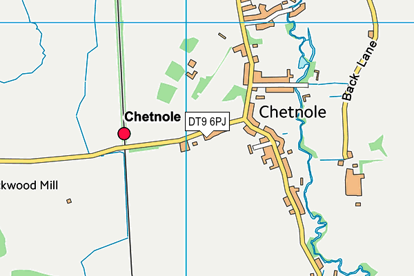 DT9 6PJ map - OS VectorMap District (Ordnance Survey)