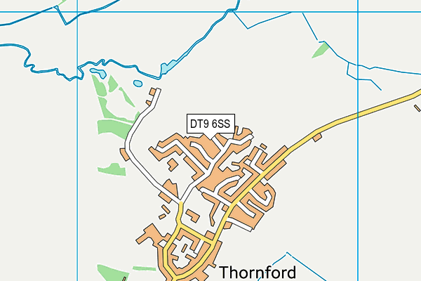 DT9 6SS map - OS VectorMap District (Ordnance Survey)