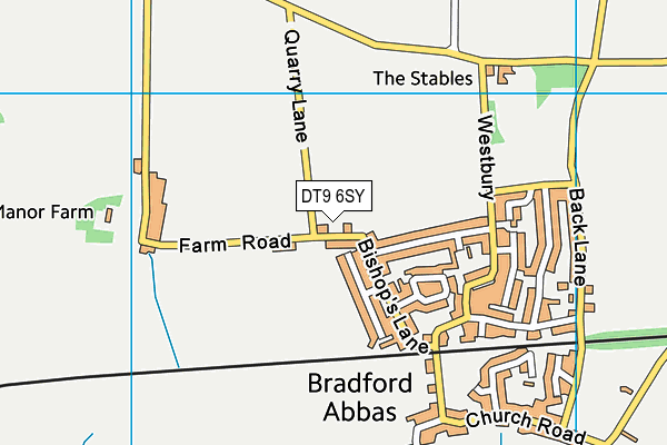 DT9 6SY map - OS VectorMap District (Ordnance Survey)