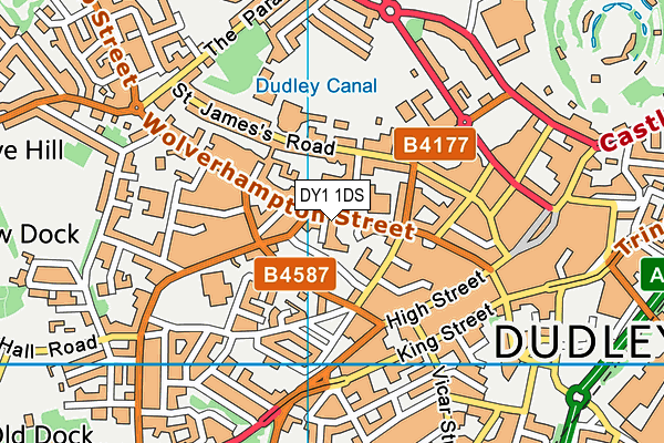 DY1 1DS map - OS VectorMap District (Ordnance Survey)