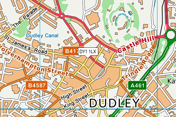 DY1 1LX map - OS VectorMap District (Ordnance Survey)