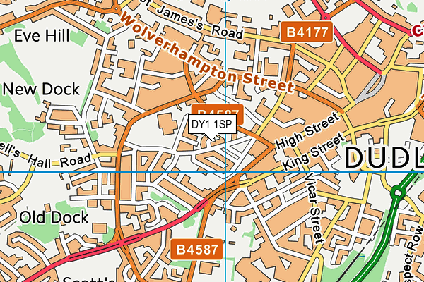 DY1 1SP map - OS VectorMap District (Ordnance Survey)