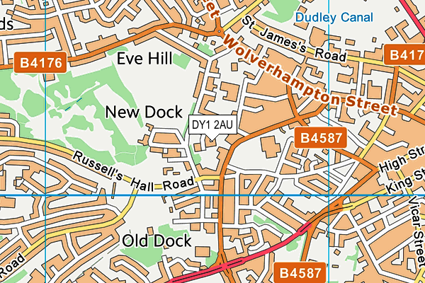 DY1 2AU map - OS VectorMap District (Ordnance Survey)