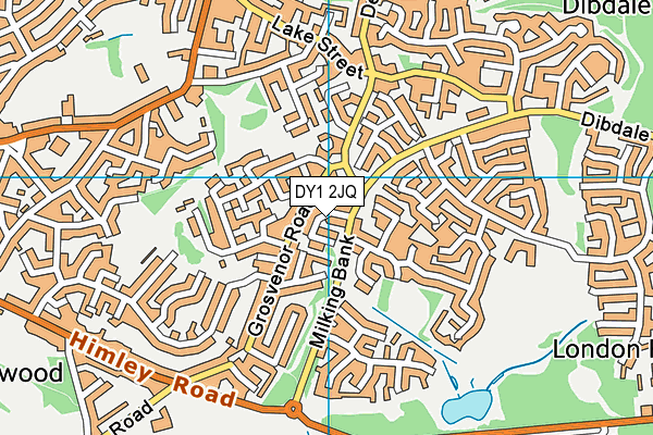 DY1 2JQ map - OS VectorMap District (Ordnance Survey)
