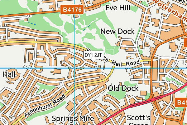 DY1 2JT map - OS VectorMap District (Ordnance Survey)
