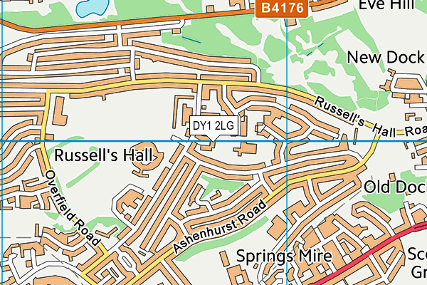 DY1 2LG map - OS VectorMap District (Ordnance Survey)