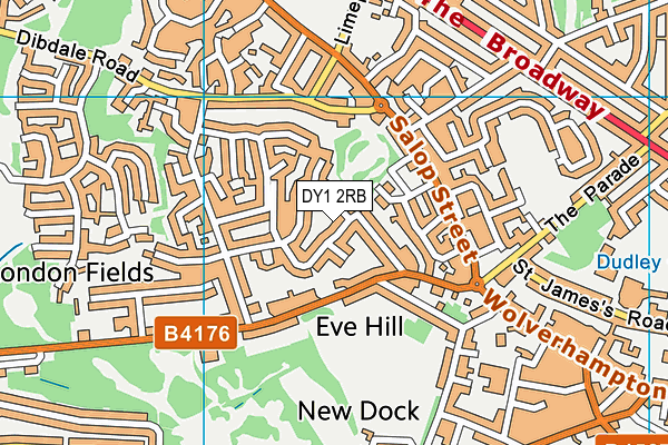 DY1 2RB map - OS VectorMap District (Ordnance Survey)