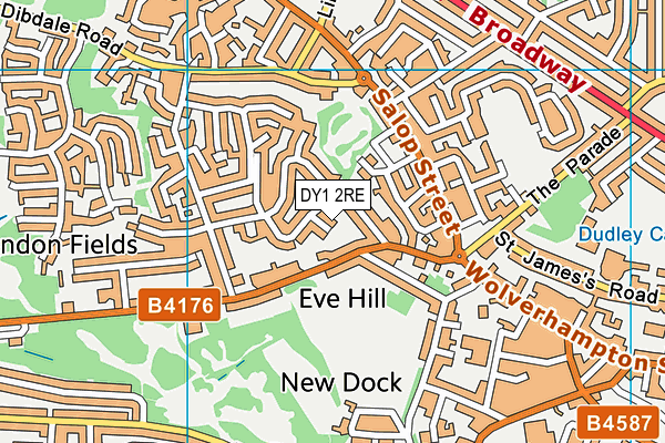 DY1 2RE map - OS VectorMap District (Ordnance Survey)