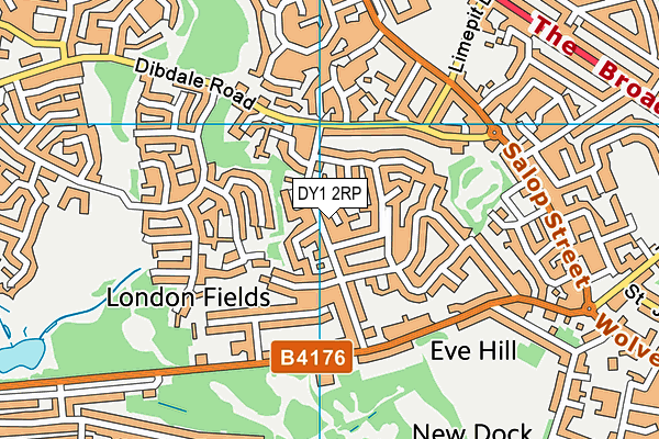 DY1 2RP map - OS VectorMap District (Ordnance Survey)