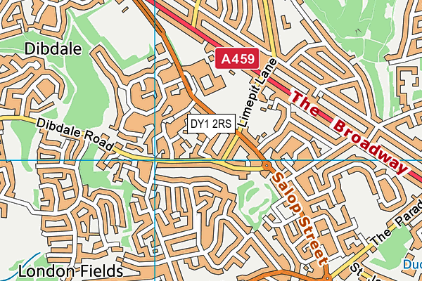 DY1 2RS map - OS VectorMap District (Ordnance Survey)