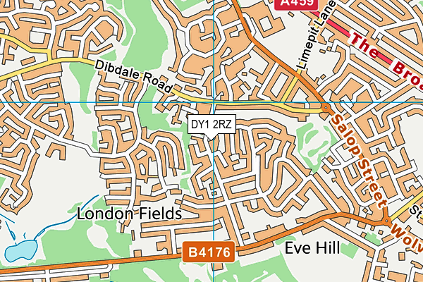 DY1 2RZ map - OS VectorMap District (Ordnance Survey)