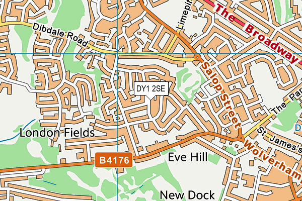 DY1 2SE map - OS VectorMap District (Ordnance Survey)