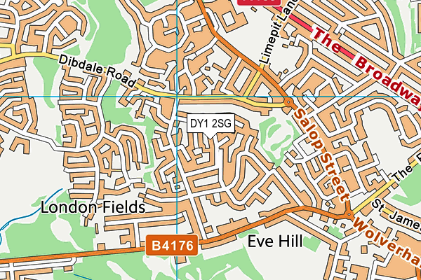DY1 2SG map - OS VectorMap District (Ordnance Survey)