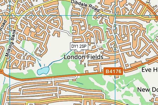 DY1 2SP map - OS VectorMap District (Ordnance Survey)