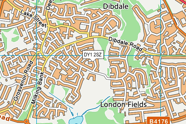 DY1 2SZ map - OS VectorMap District (Ordnance Survey)