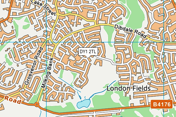 DY1 2TL map - OS VectorMap District (Ordnance Survey)