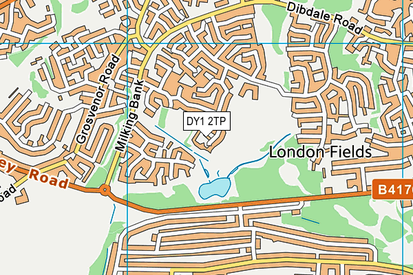 DY1 2TP map - OS VectorMap District (Ordnance Survey)
